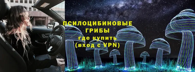 Псилоцибиновые грибы Psilocybe  где можно купить наркотик  мориарти формула  Саратов 